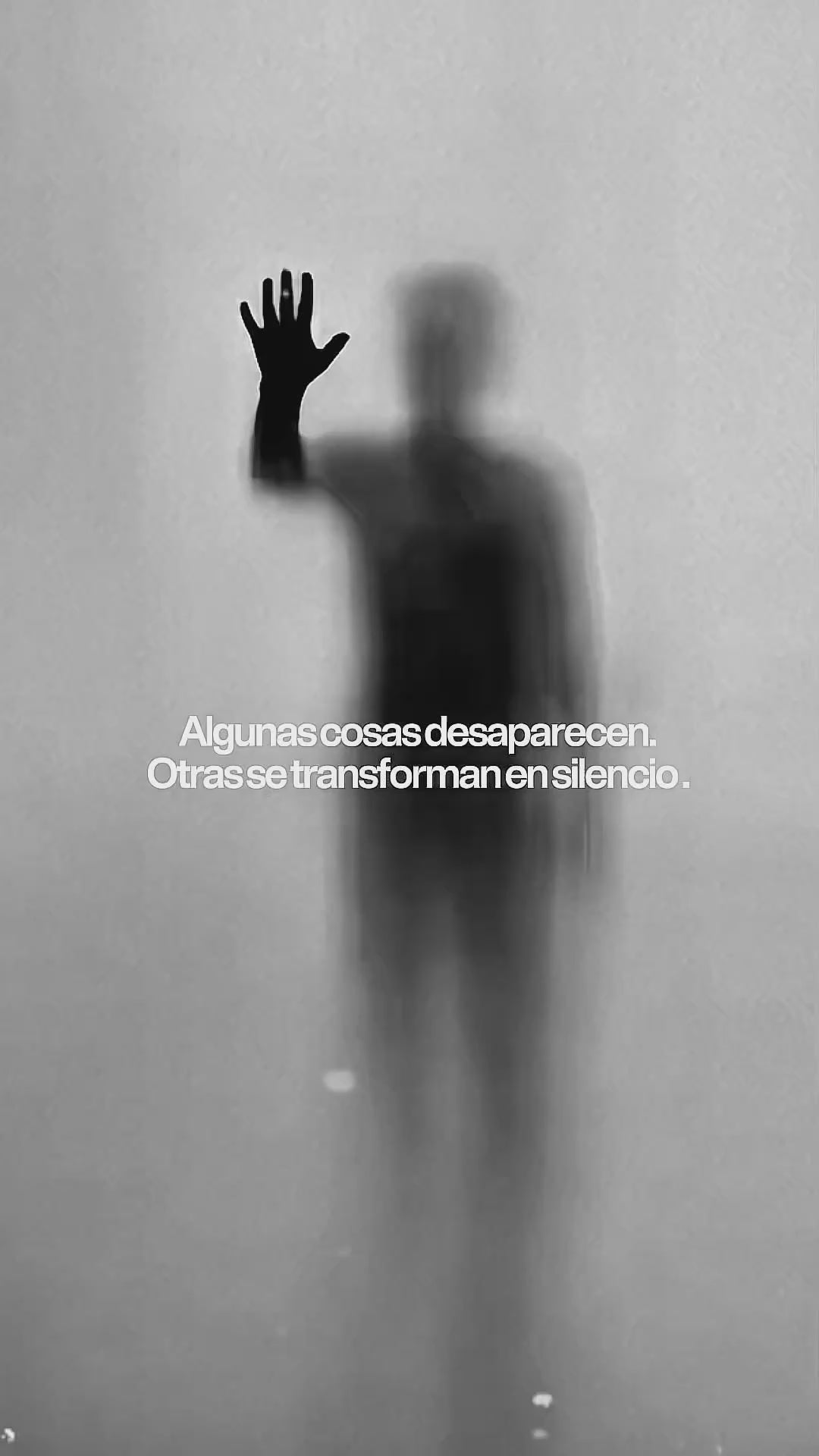 Cargar video: 