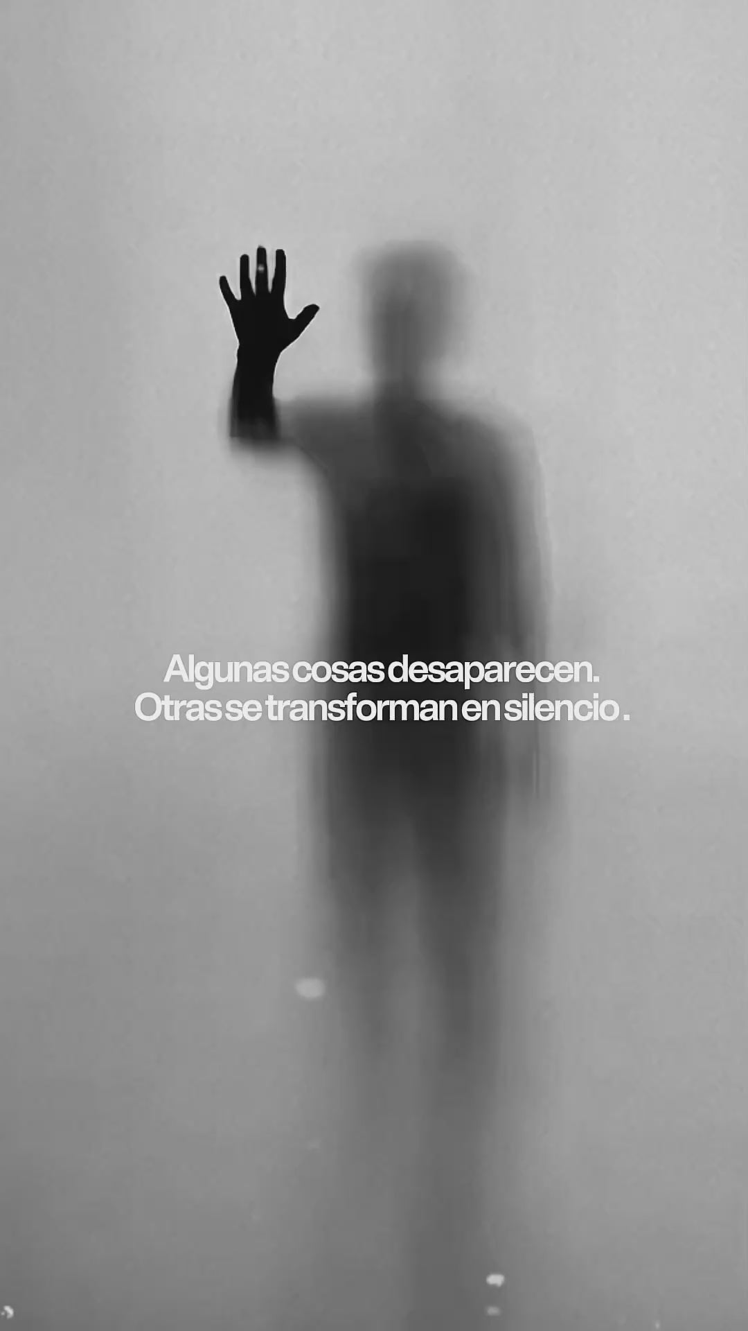 Cargar video: 