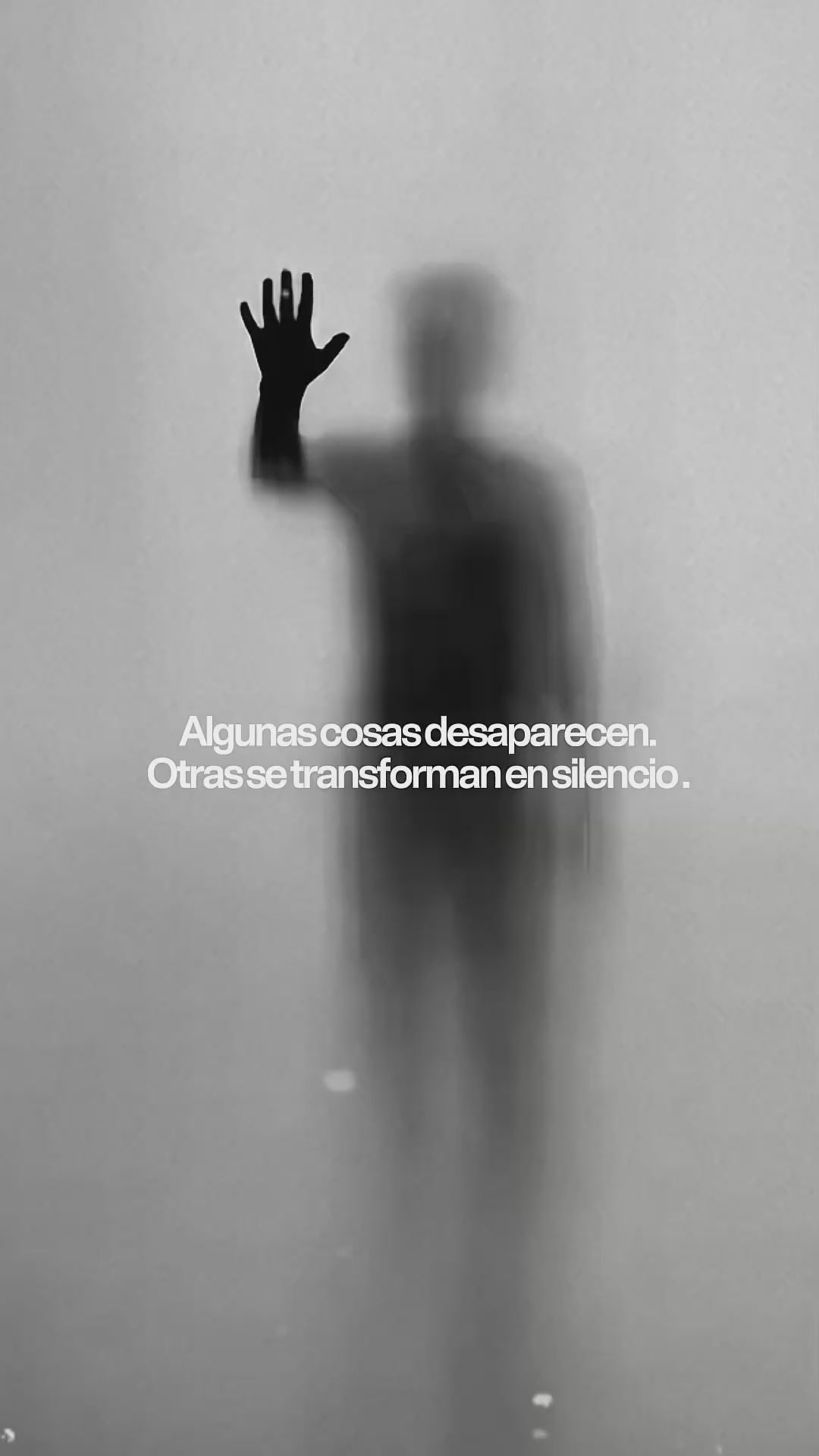 Cargar video: 